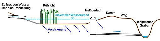 Bayerischer Wald